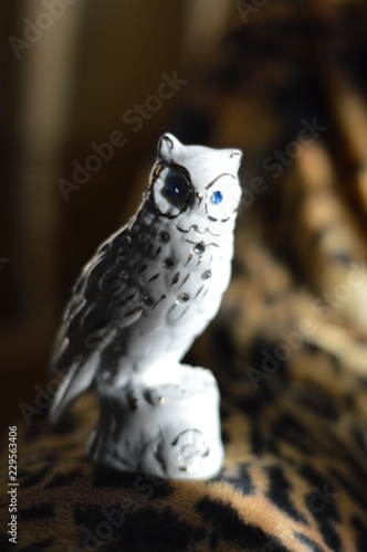 owl