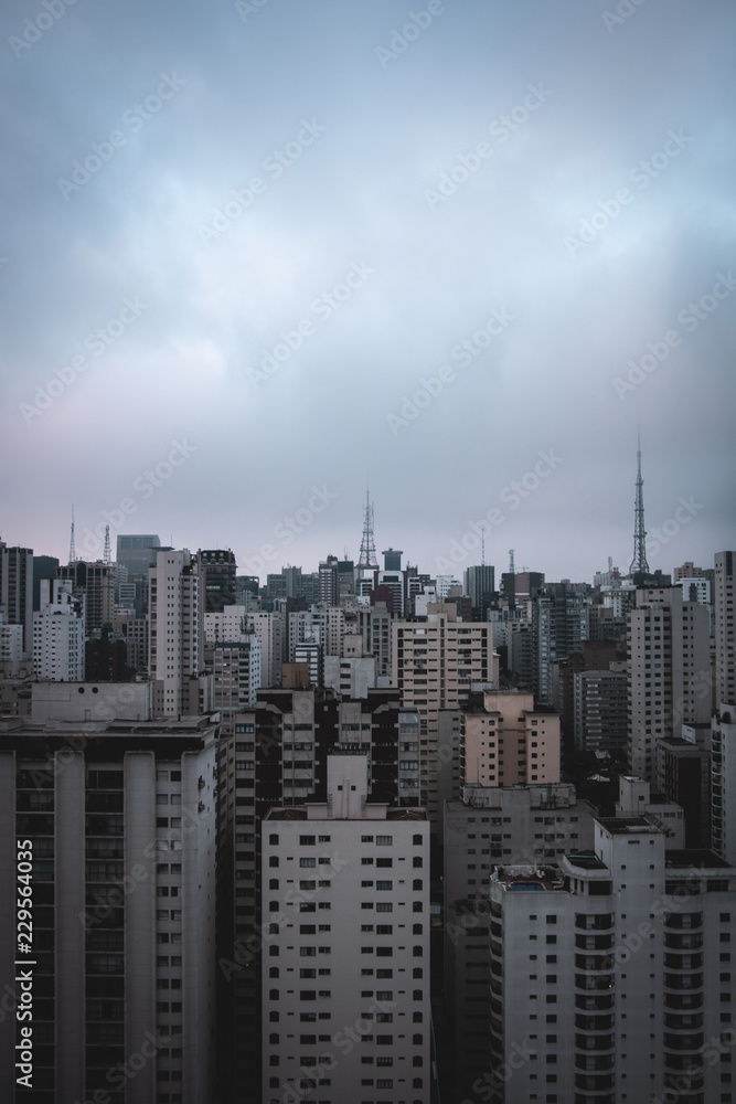 vertical cityscape in an overcast day