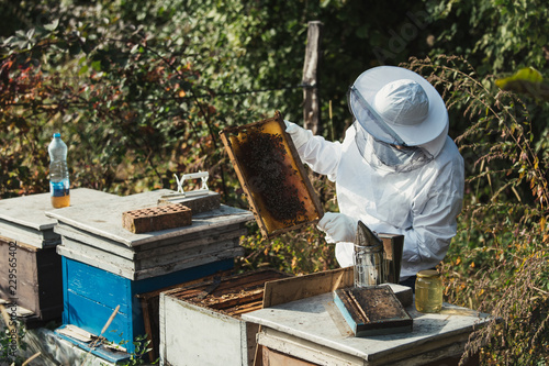 Male beekeeper in protective suite working with beehives and collecting honey. Beekeeping concept.