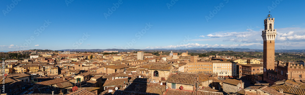 Cityscape of Siena with the Torre del Mangia in Tuscany, Italy, Europe   