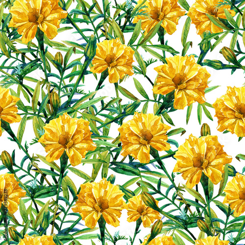 Seamless pattern of marigolds painted in watercolor.