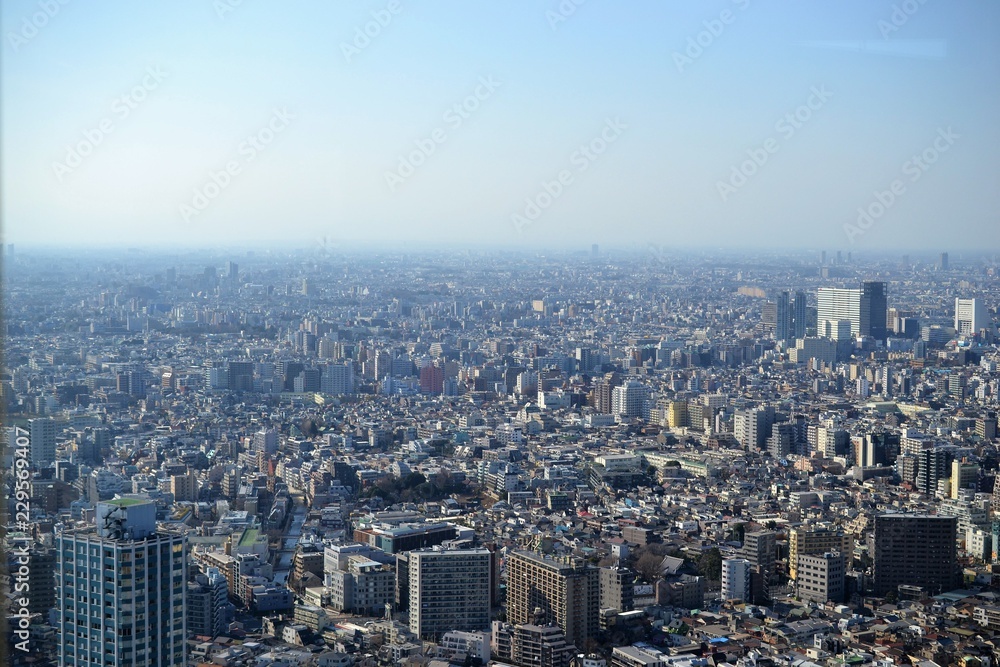 Tokyo, mega city from birdeye perspective, from above JAPAN