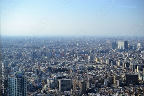 Tokyo  mega city from birdeye perspective  from above JAPAN