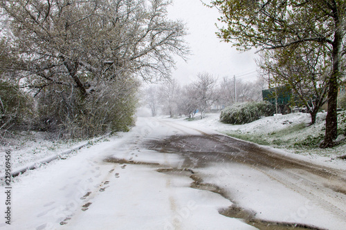 Snowy rural road photo