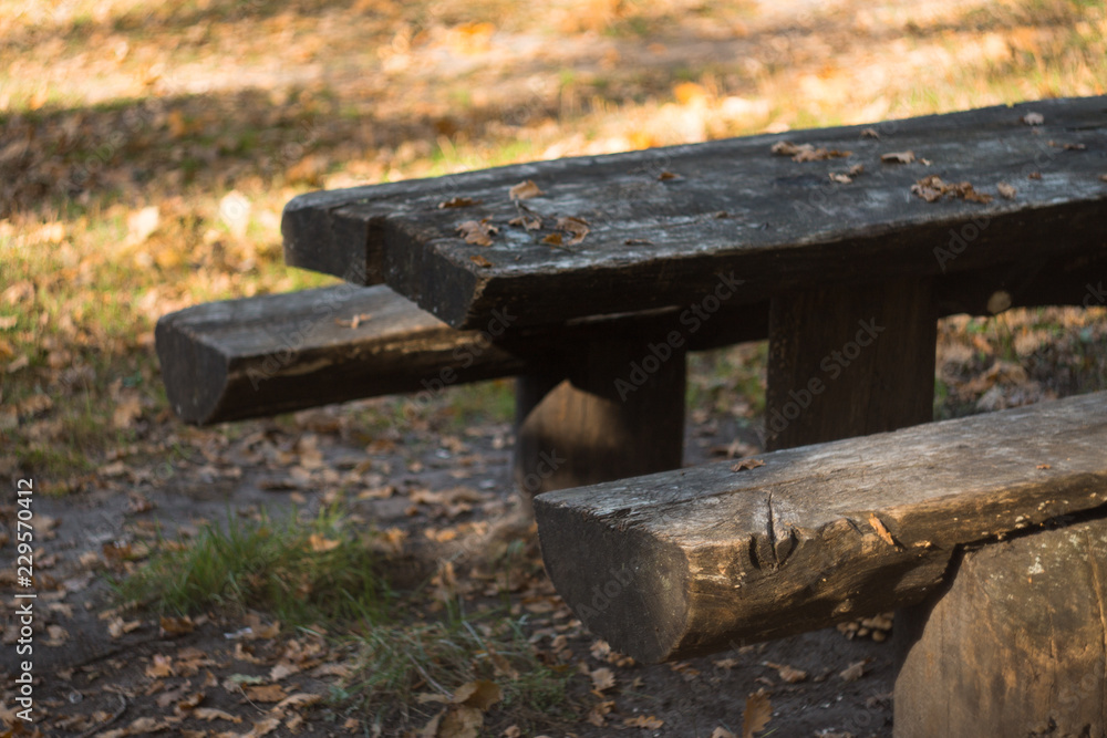 old wooden tables from a tree trunk in the forest old wooden tables from a tree trunk in the forest