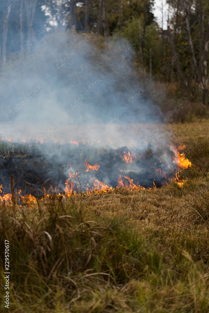 Fire at the Swamp