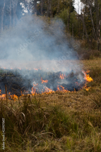 Fire at the Swamp © Caroline