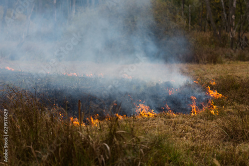 Fire at the Swamp © Caroline