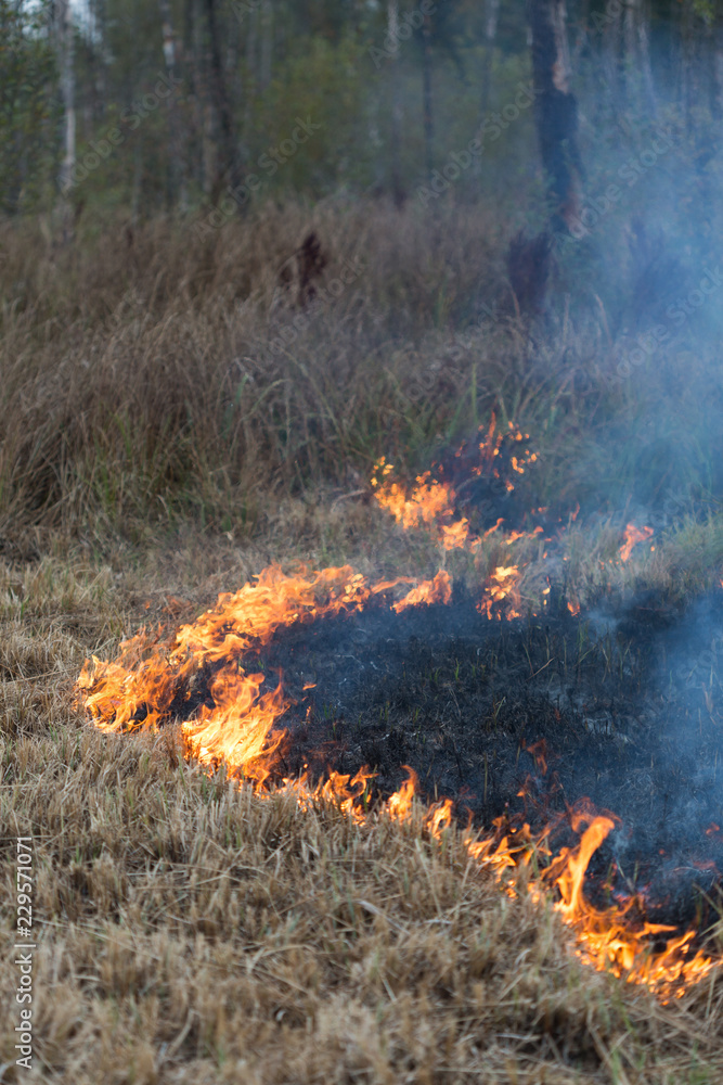 Fire at the Swamp