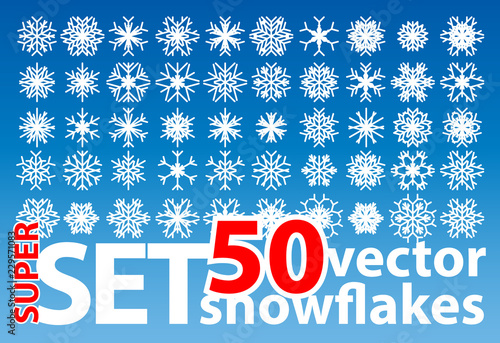 Set of 50 vector snowflakes