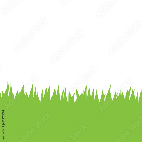 Card with green grass isolated on white background with empty space. Vector illustrator.