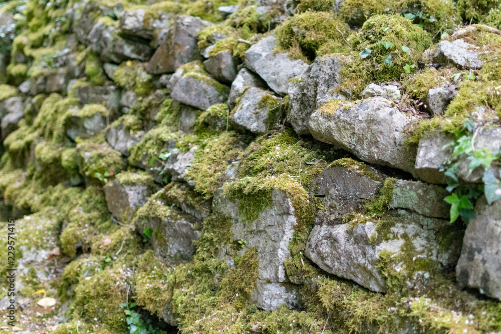 Moss covered stone wall