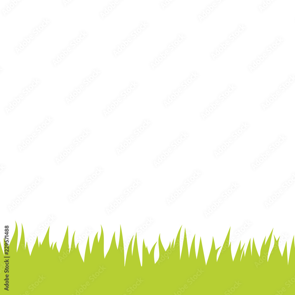 Obraz premium Card with green grass isolated on white background with empty space. Vector illustrator.