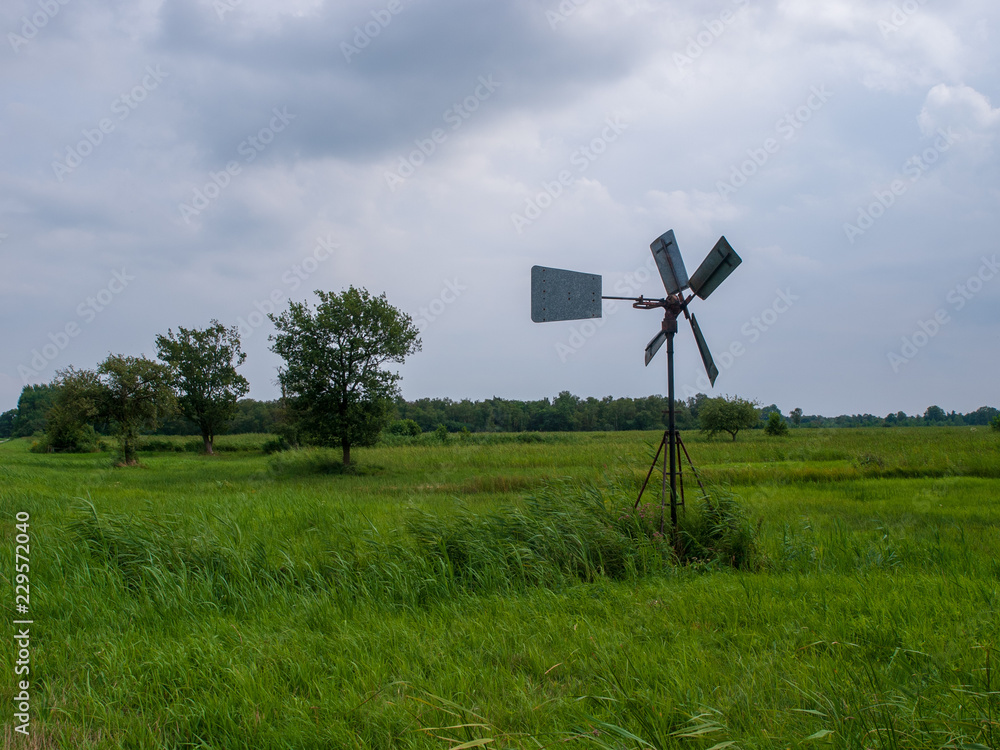 Fototapeta premium Weerribben Wieden