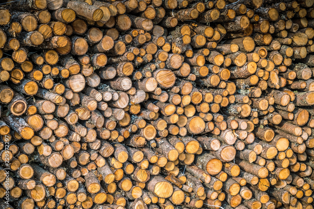 Holzstapel Holzstapel