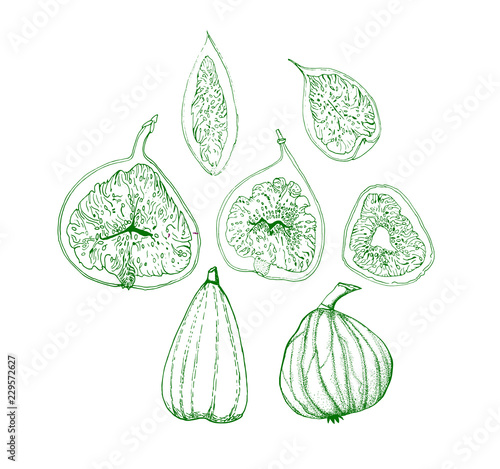 Figs. Set of tropical fruits. tartar. scketch. Illustration.
