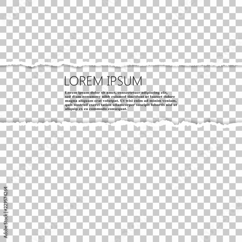 Seamless ripped paper and transparent background with space for text, vector art and illustration.