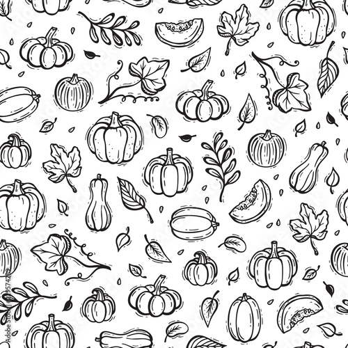 Vegetables Vector Background. Different Varieties of Pumpkins and Leaves Seamless Pattern. Autumn Harvest Symbols. Hand Drawn Doodle Pumpkin and leaf. Thanksgiving Day