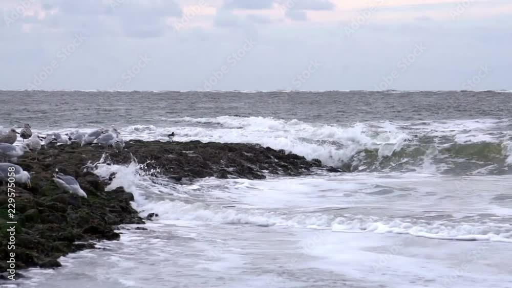 Nordsee, Wellen, Wellenbrecher, Buhne Nordsee, Wellen, Wellenbrecher, Buhne