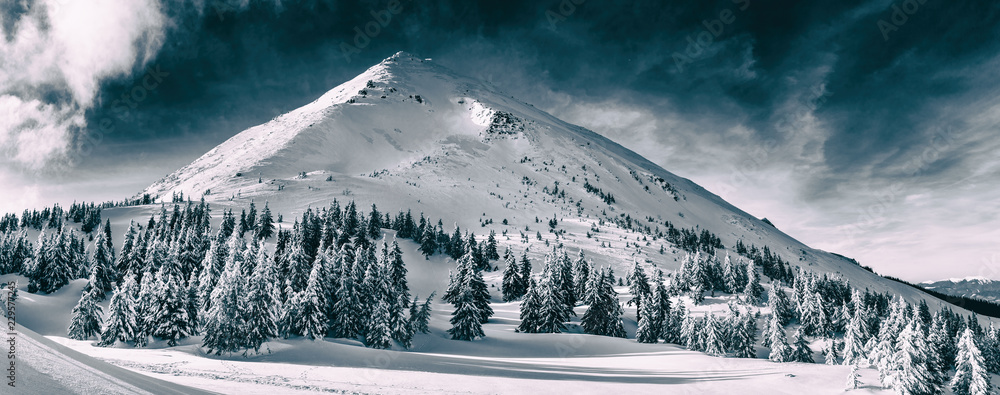Naklejka premium Piękny zimowy krajobraz Karpat. Petros szczyt pokryty śniegiem.