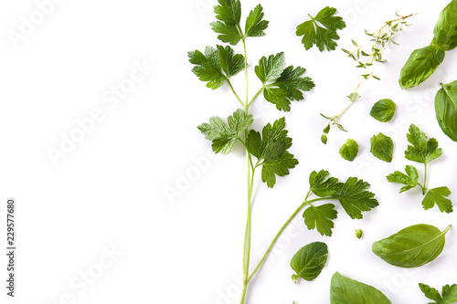 Green fresh aromatic herbs pattern isolated on white background. Top view. Copyspace