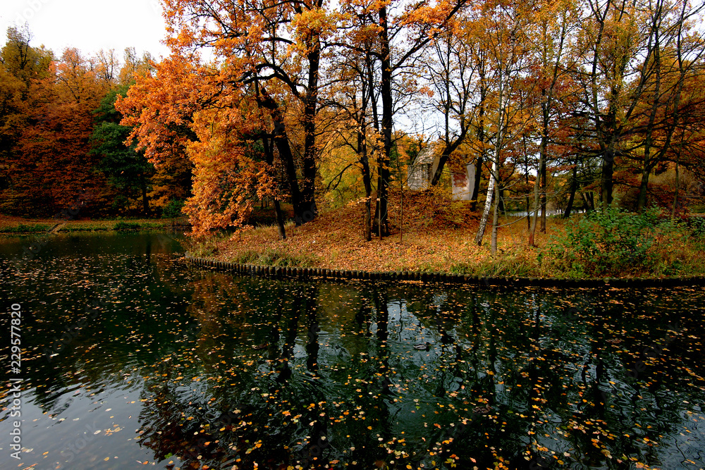 autumn landscape with colorful trees by the pond
