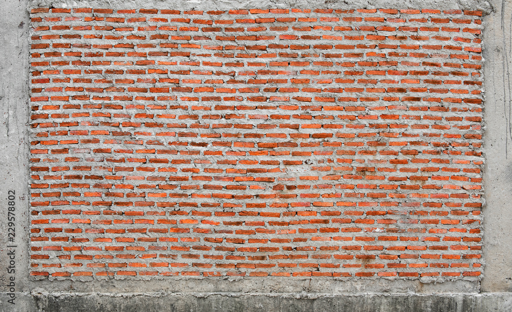 Naklejka premium close up bricks on home wall.