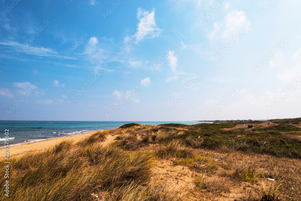 Beach in the coastal dune natural park of Ostuni in Salento on the Adriatic sea Beach in the coastal dune natural park of Ostuni in Salento on the Adriatic sea