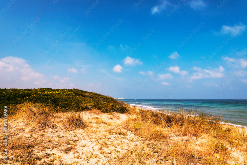 Beach in the coastal dune natural park of Ostuni in Salento on the Adriatic sea