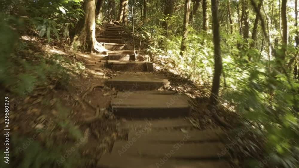 Ascending Steps on an Engineered Hiking Trail in Thailand Ascending Steps on an Engineered Hiking Trail in Thailand