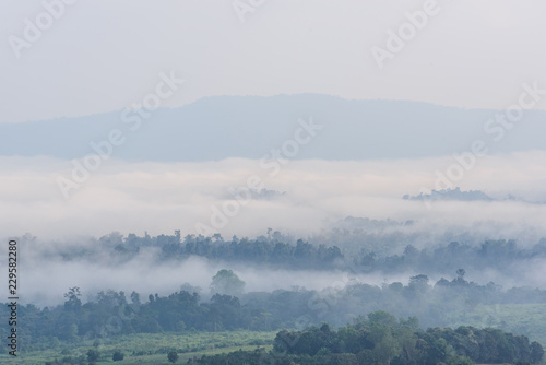 Sea mist at the mountain in sunrise time