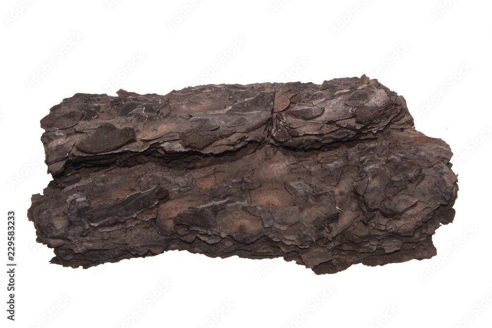 bark isolated on white background bark isolated on white background