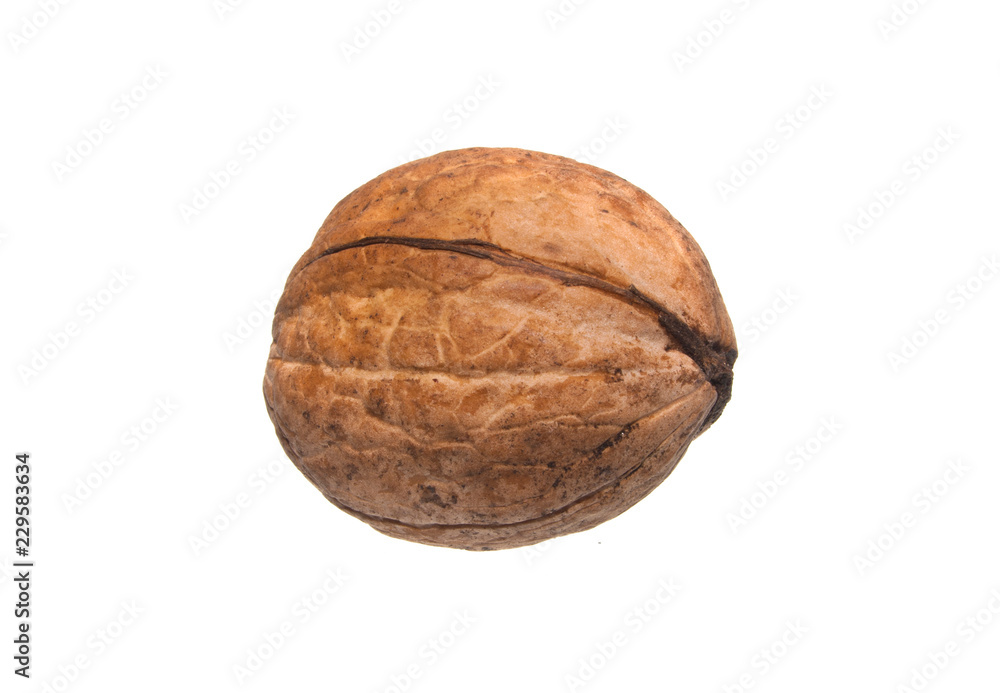 nut isolated on white background nut isolated on white background
