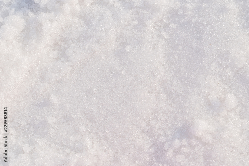 Obraz premium Snow white texture winter background of fresh cold ice, snowy icy surface pattern of chill snowflake in February freezing weather climate season