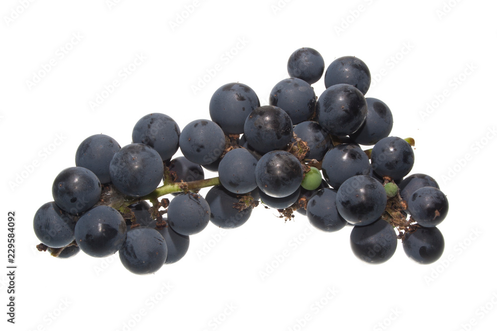 grapes isolated on white background grapes isolated on white background