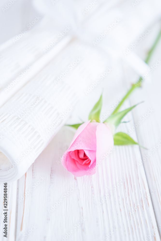 Two rolls of white fabric and pink rose on a white background. Free space Two rolls of white fabric and pink rose on a white background. Free space