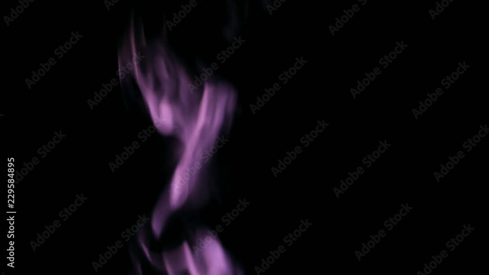 Purple Steam Rises from up. Purple smoke over a black background. Smoke slowly floating through space against black background. 4K UHD Purple Steam Rises from up. Purple smoke over a black background. Smoke slowly floating through space against black background. 4K UHD
