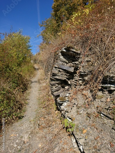 Mauer Rheinsteig