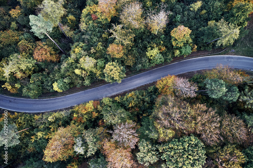 street between autumn forest aerial drone view from above, dji © visualitte