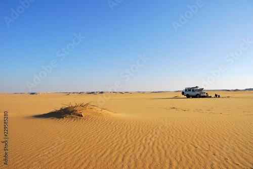 Sahara Desert safari, Egypt