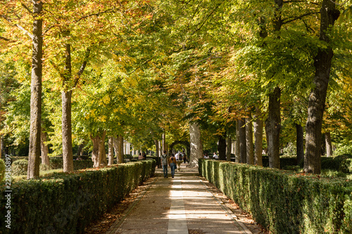 Garden of the island in Aranjuez in the vicinity of the royal palace.