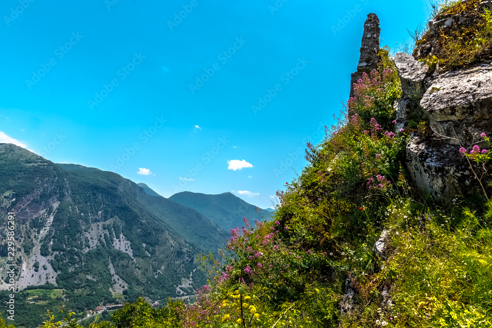 BASILIKATA, CALABRIA, ITALY - The hilly rocky landscape with blooming nature. Flowers in the south of Italy on a sunny day in June.