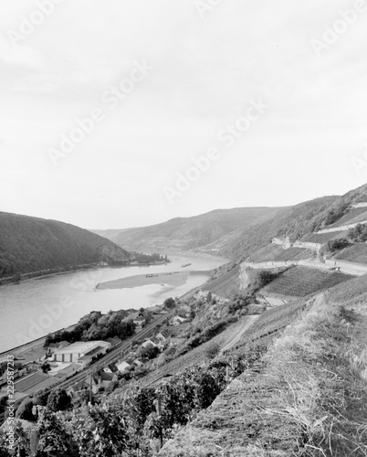 Rheingau Rheinsteig sw