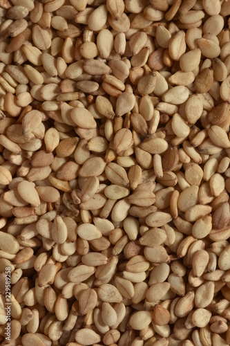 Seam Makro