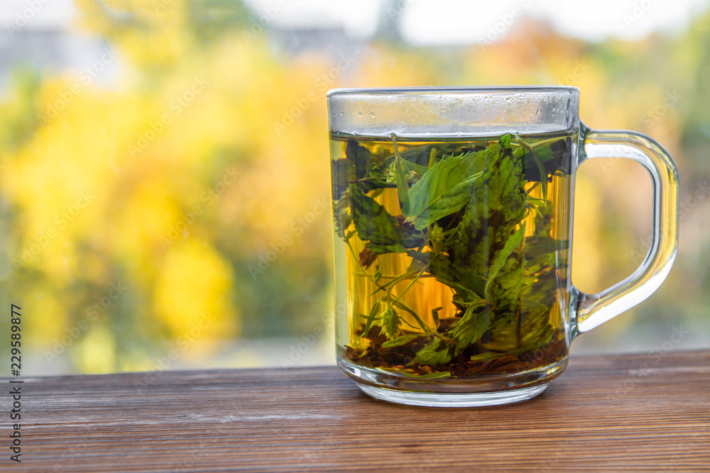 A cup of mint tea before autumn window with yellow trees on the background. Closeup, selective focus A cup of mint tea before autumn window with yellow trees on the background. Closeup, selective focus