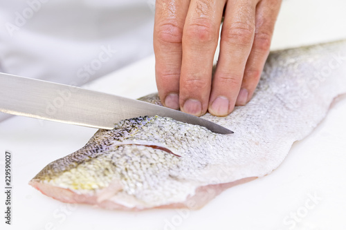 A chef scoring a large zander fish fillet with a knife. White chopping board.
