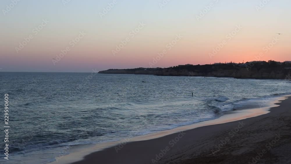 custom made wallpaper toronto digitalsunset on the beach