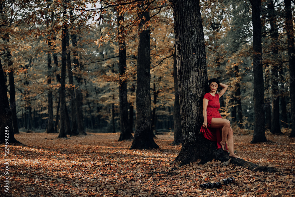 Young woman wearing a long red dress posing on a an autumn day in the woods. Young woman wearing a long red dress posing on a an autumn day in the woods.