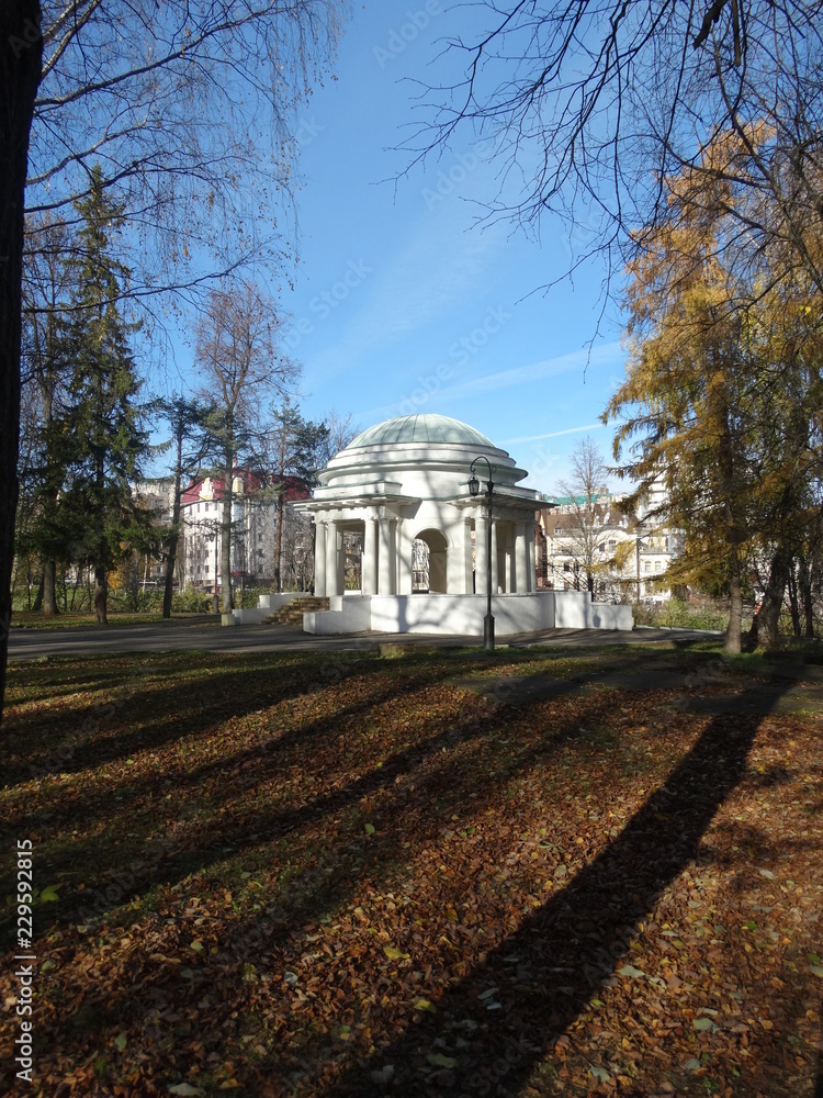 Obraz premium autumn sunny day in the city park