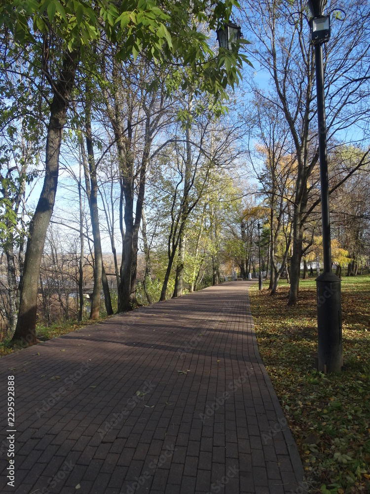 Fototapeta premium autumn sunny day in the city park